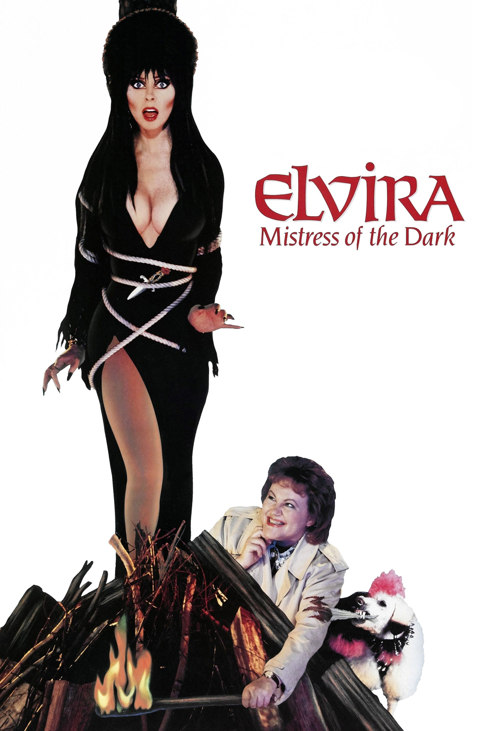 Elvira Mistress of the Dark (1988) [30469] (A1764928673) [[Movies]] --Plex--